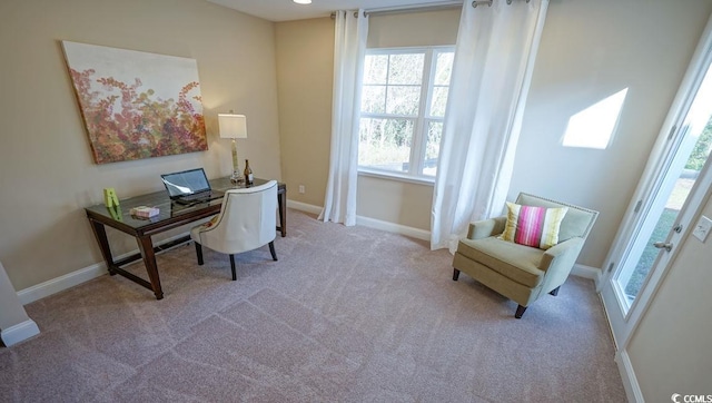 744 Choctaw Dr, Conway, SC 29526 - office space featuring carpet floors and baseboards