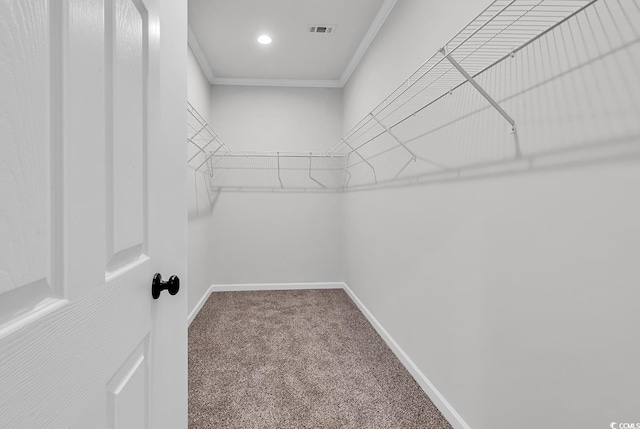 1529 Bucksport Rd, Conway, SC 29527 - walk in closet with carpet