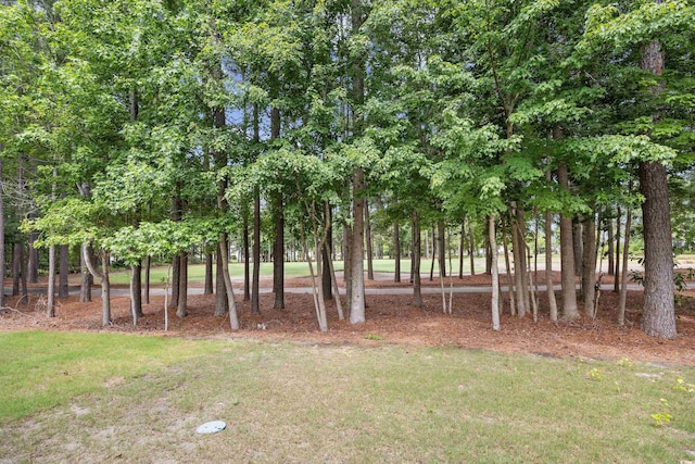 6203 Catalina Dr Unit 212, North Myrtle Beach, SC 29582 - photo 28