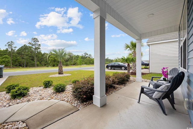 3573 Bells Lake Cir, Longs, SC 29568 - porch with a yard