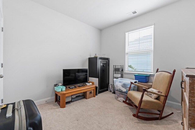 3078 Gillham Loop, Myrtle Beach, SC 29588 - photo 20