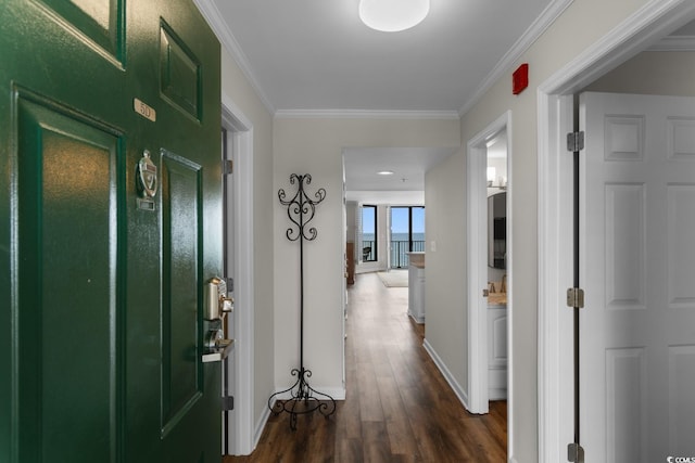4505 S Ocean Blvd Unit 5D, North Myrtle Beach, SC 29582 - corridor with baseboards, dark wood finished floors, and ornamental molding