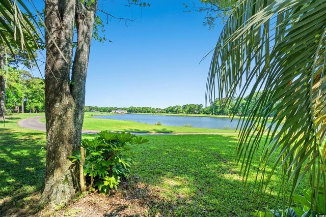 1119 Links Rd, Myrtle Beach, SC 29575 - water view