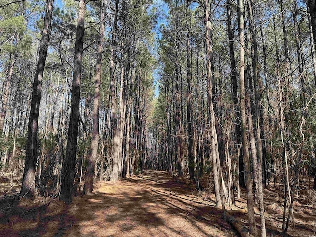 TBD Union Church Rd, Salters, SC 29590 - photo 1