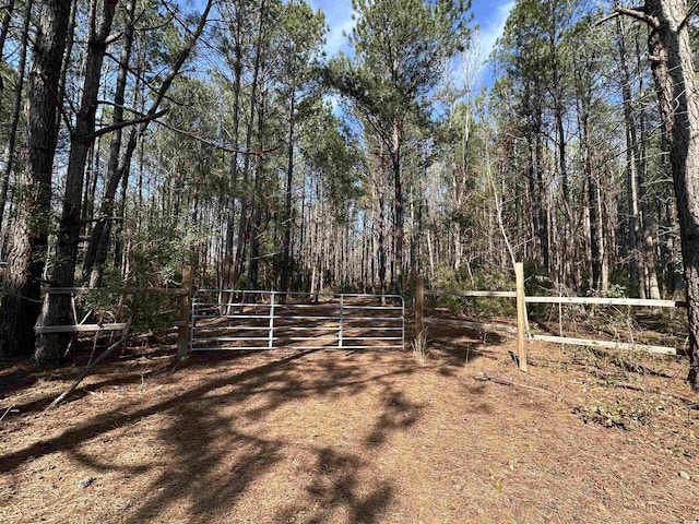 TBD Union Church Rd, Salters, SC 29590 - photo 2