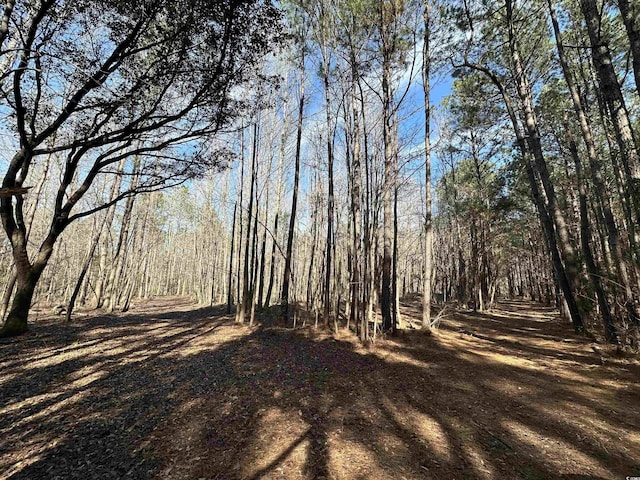TBD Union Church Rd, Salters, SC 29590 - photo 3