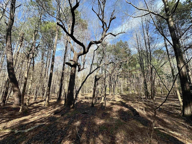 TBD Union Church Rd, Salters, SC 29590 - photo 4