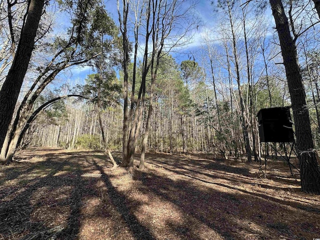 TBD Union Church Rd, Salters, SC 29590 - photo 5