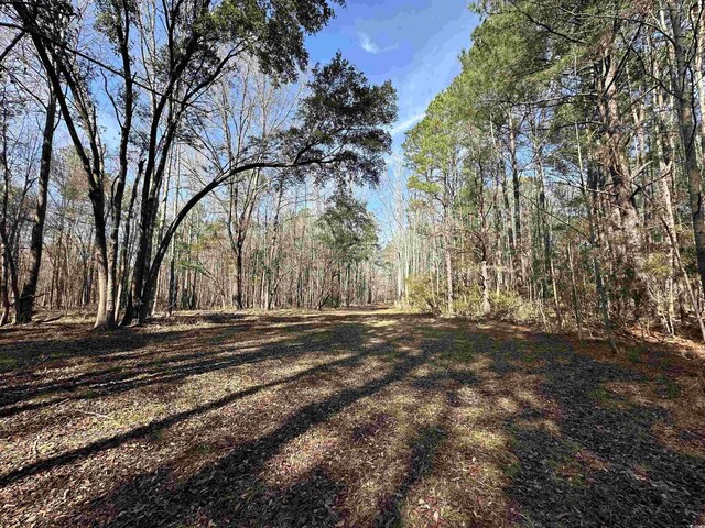 TBD Union Church Rd, Salters, SC 29590 - photo 6