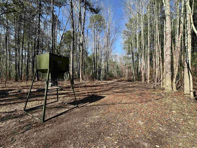 TBD Union Church Rd, Salters, SC 29590 - photo 7
