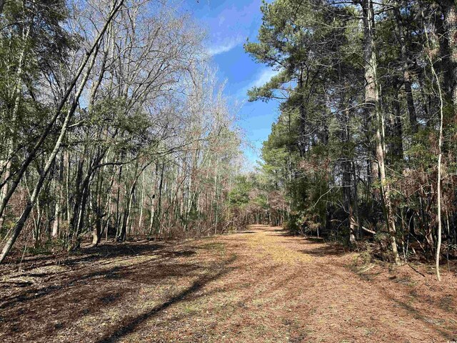TBD Union Church Rd, Salters, SC 29590 - photo 8