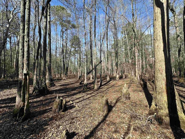 TBD Union Church Rd, Salters, SC 29590 - photo 10