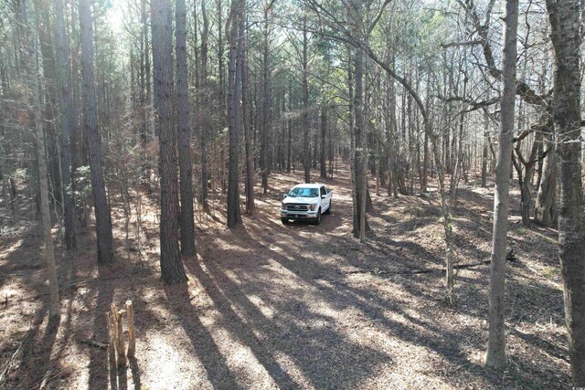 TBD Union Church Rd, Salters, SC 29590 - photo 14