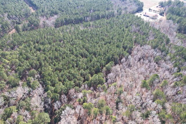 TBD Union Church Rd, Salters, SC 29590 - photo 15