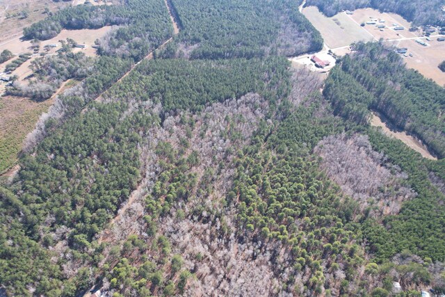 TBD Union Church Rd, Salters, SC 29590 - photo 16