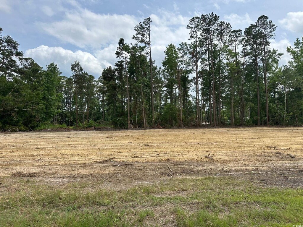 TBD2 Saint John Rd, Galivants Ferry, SC 29544 - photo 1