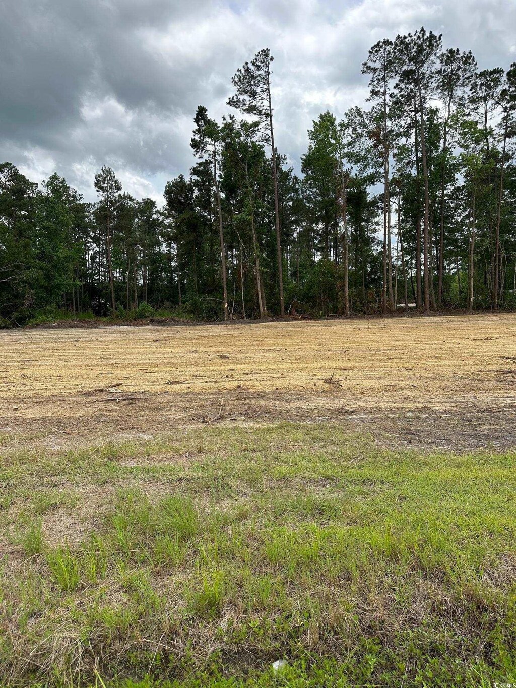 TBD2 Saint John Rd, Galivants Ferry, SC 29544 - photo 2