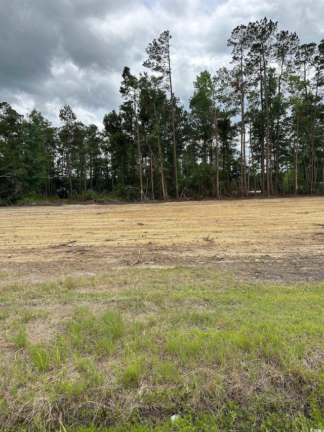 TBD2 Saint John Rd, Galivants Ferry, SC 29544 - photo 2