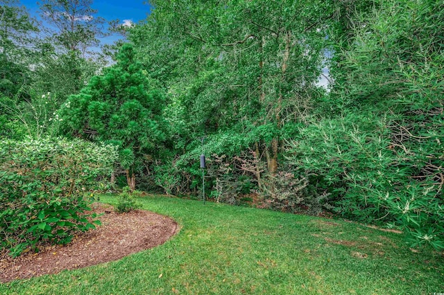 24 Willowbend Dr, Murrells Inlet, SC 29576 - view of green lawn