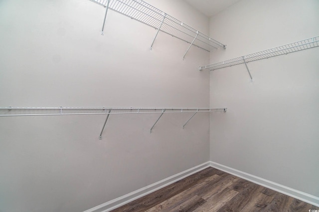 427 Lifestyle Ct, Surfside Beach, SC 29575 - spacious closet with dark wood-type flooring