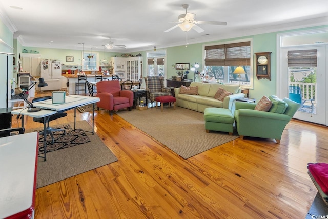 3926 Flagg St, Murrells Inlet, SC 29576 - living area featuring ceiling fan, wood finished floors, and crown molding