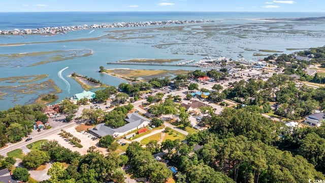 3926 Flagg St, Murrells Inlet, SC 29576 - view of property location featuring a large body of water