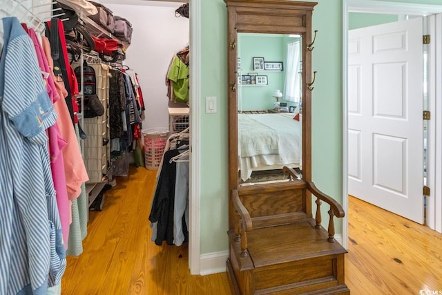 3926 Flagg St, Murrells Inlet, SC 29576 - walk in closet with light wood-style floors