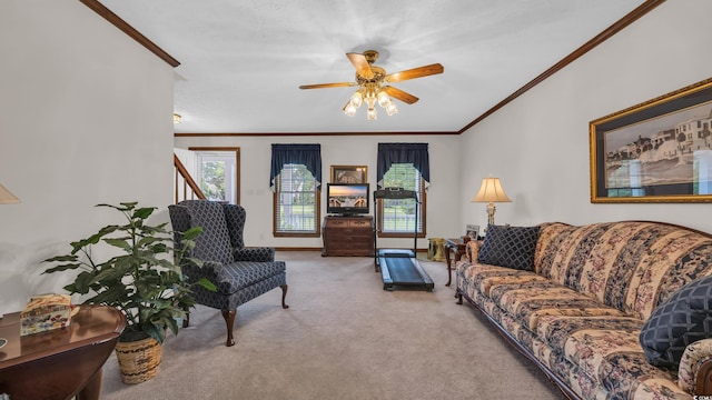 412 Carolina Dr, Loris, SC 29569 - living area featuring crown molding, carpet floors, and ceiling fan
