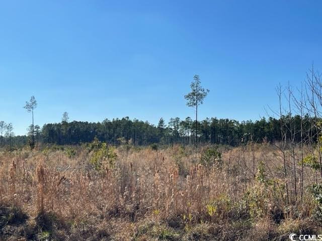 1279 Cheyenne Rd, Conway, SC 29526