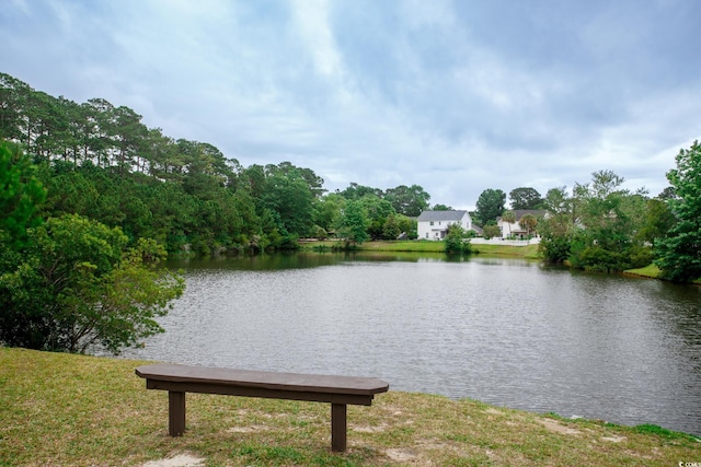 112 Molinia Dr, Murrells Inlet, SC 29576 - photo 36