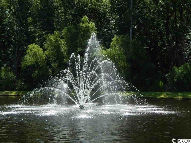 1029 Ray Costin Way Unit 909, Murrells Inlet, SC 29576 - water view featuring a forest