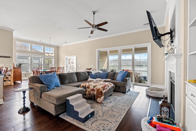 455 Hyacinth Loop, Murrells Inlet, SC 29576 - photo 5