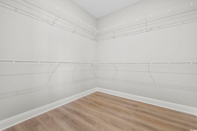 1900 Blue Bird Rd, Loris, SC 29569 - spacious closet featuring wood finished floors