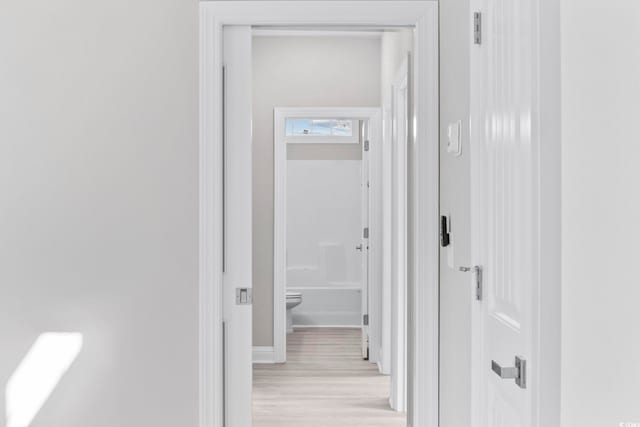 1900 Blue Bird Rd, Loris, SC 29569 - corridor with light wood-style floors and baseboards