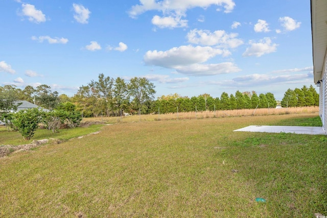 1900 Blue Bird Rd, Loris, SC 29569 - view of green lawn
