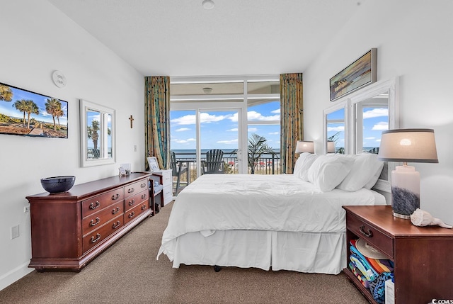 2501 S Ocean Blvd Unit 111, Myrtle Beach, SC 29577 - carpeted bedroom with access to outside, multiple windows, and baseboards