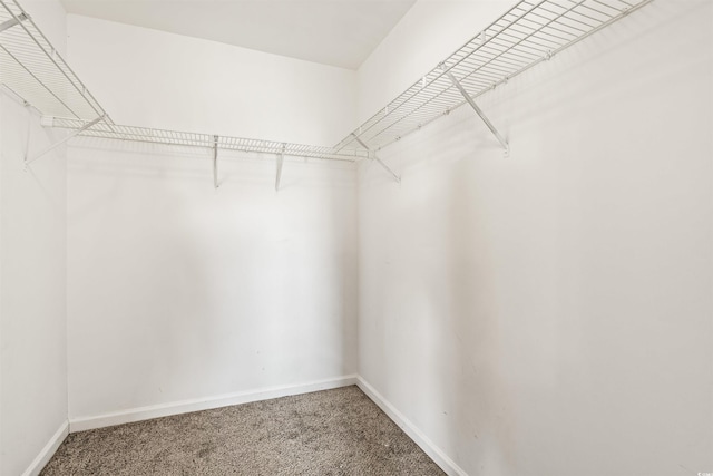 2336 Windmill Way, Myrtle Beach, SC 29579 - walk in closet with carpet