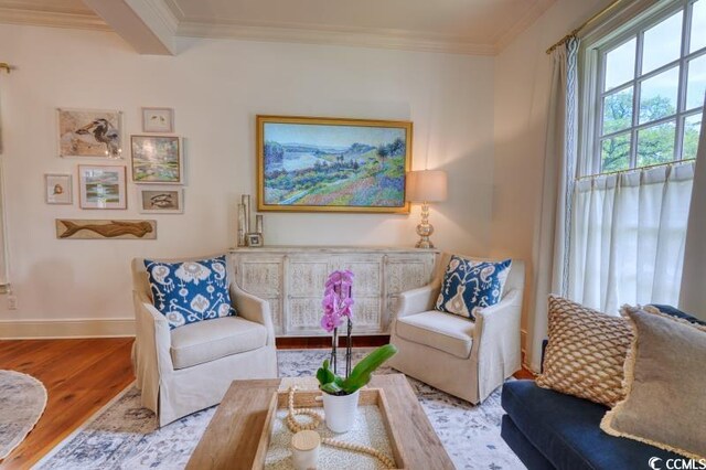 203 Broad St, Georgetown, SC 29440 - photo 14
