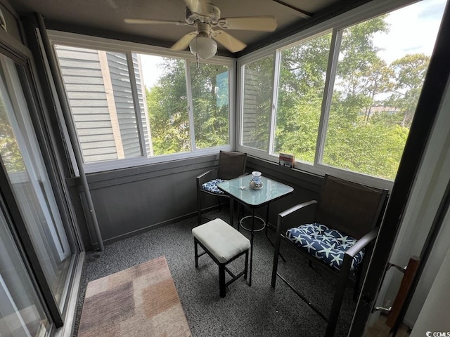 1101 Possum Trot Rd Unit A202, North Myrtle Beach, SC 29582 - sunroom / solarium featuring ceiling fan
