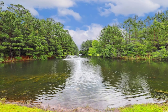 263 Walden Lake Rd, Conway, SC 29526 - water view
