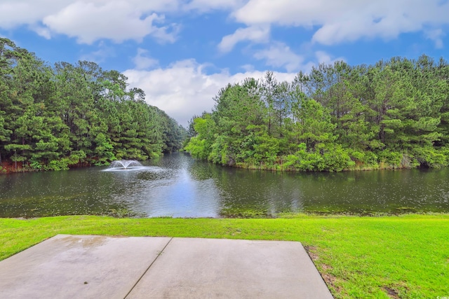 263 Walden Lake Rd, Conway, SC 29526 - water view