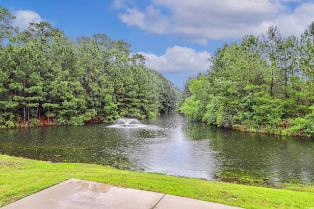 263 Walden Lake Rd, Conway, SC 29526 - water view with a forest