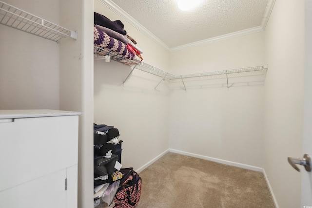 263 Walden Lake Rd, Conway, SC 29526 - spacious closet featuring carpet