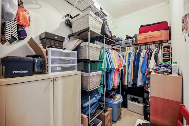 356 Lakeside Crossing Dr, Conway, SC 29526 - spacious closet featuring carpet floors