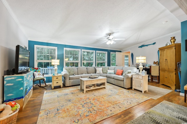 356 Lakeside Crossing Dr, Conway, SC 29526 - living room with crown molding, a textured ceiling, ceiling fan, and wood-type flooring