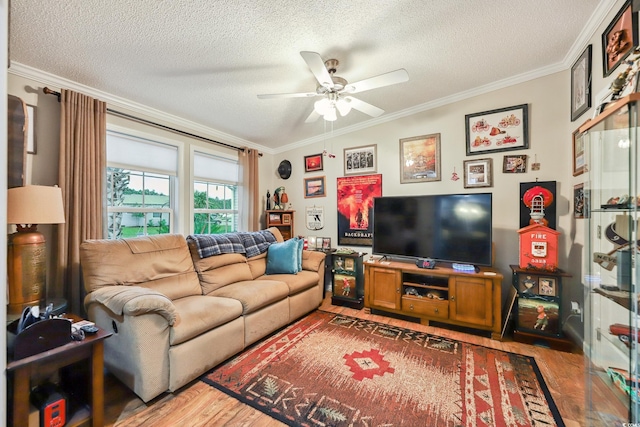 356 Lakeside Crossing Dr, Conway, SC 29526 - living room with wood finished floors, ceiling fan, crown molding, and a textured ceiling