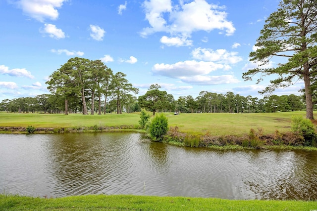 4767 Wild Iris Dr Unit 203, Myrtle Beach, SC 29579 - water view with a tree filled landscape