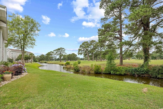 4767 Wild Iris Dr Unit 203, Myrtle Beach, SC 29579 - view of green lawn with a water view