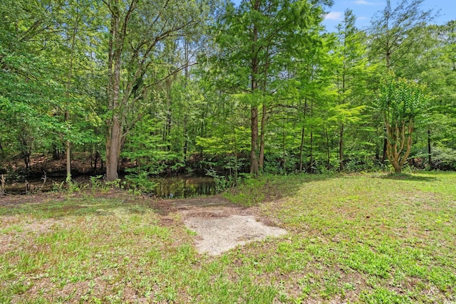 1936 Lees Landing Cir, Conway, SC 29526 - view of yard