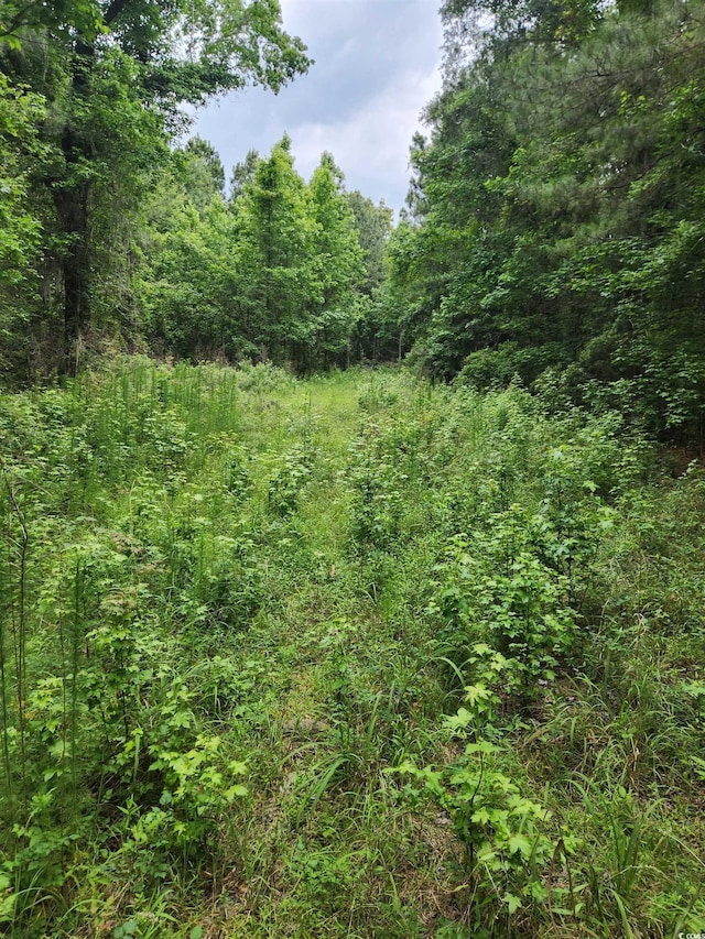 TBD Thatchpalm Ct, Georgetown, SC 29440
